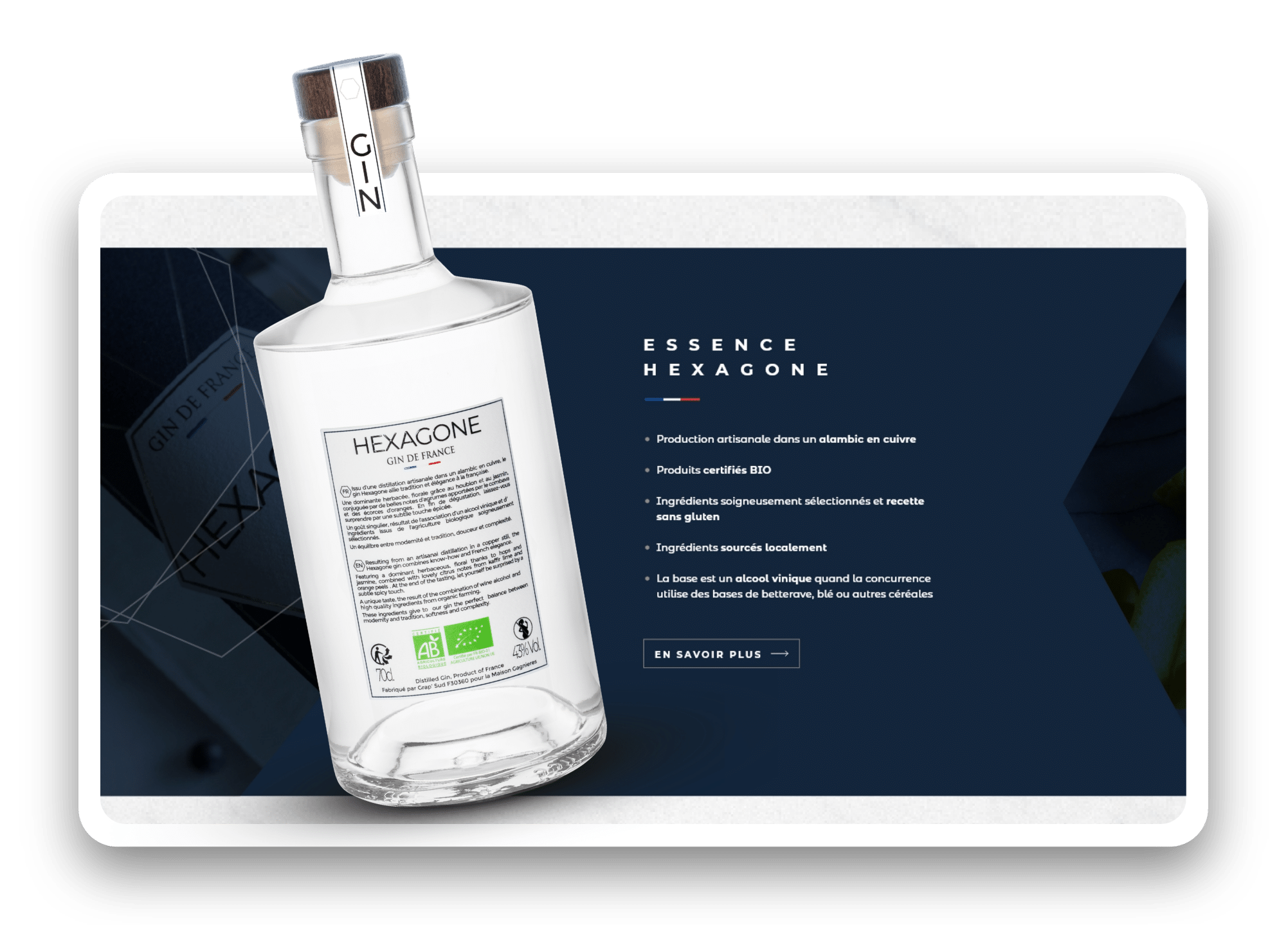 Site-Web-3-HEXAGONE